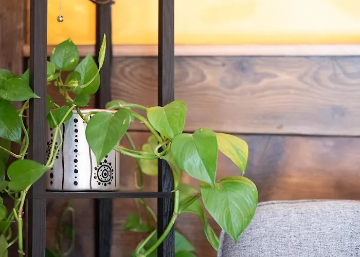 Lakota Soul - Cozy Little * Trontano